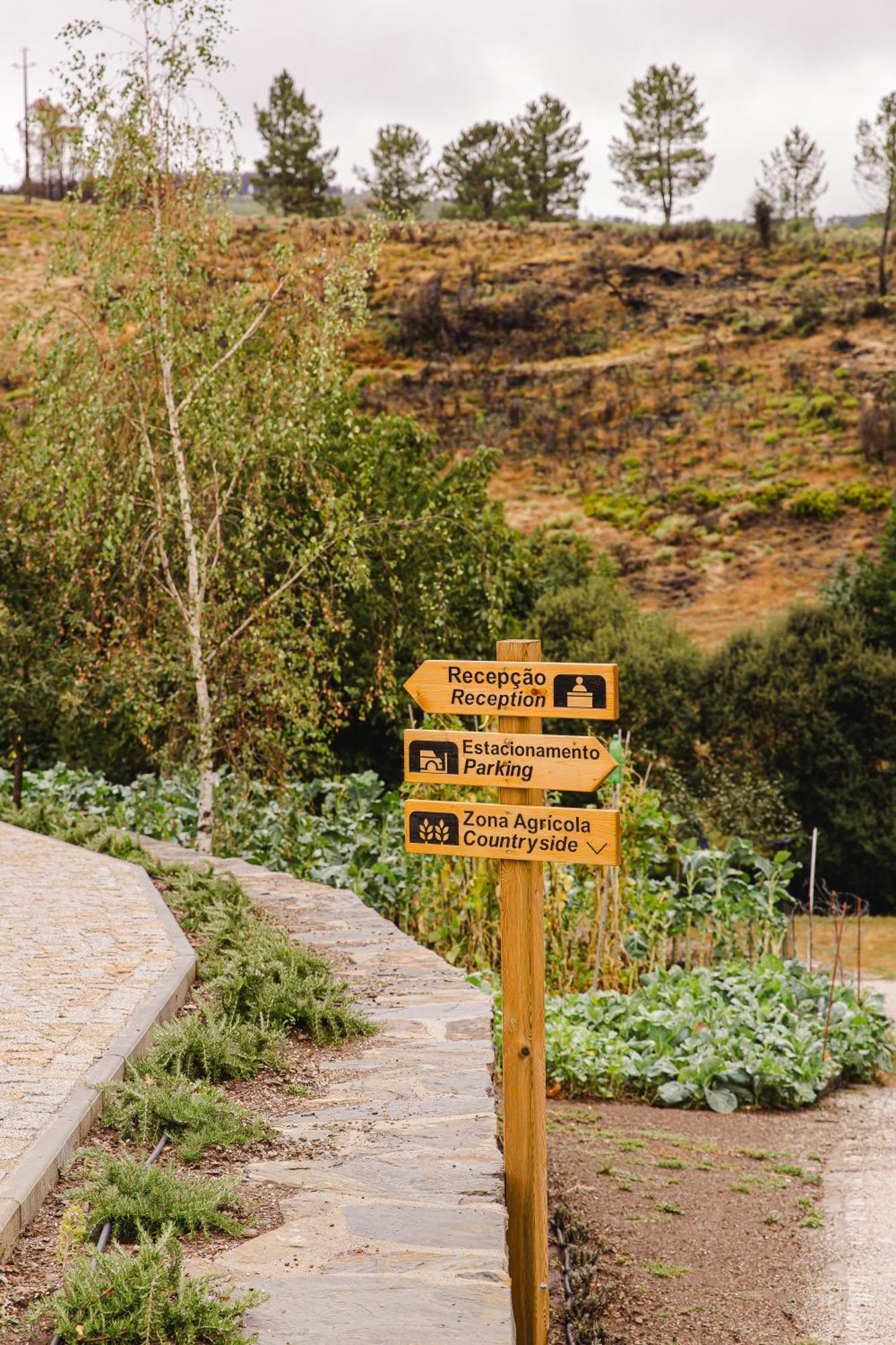 Terrasense Mountain Charm Retreat & Farm Apartment Videmonte Екстериор снимка
