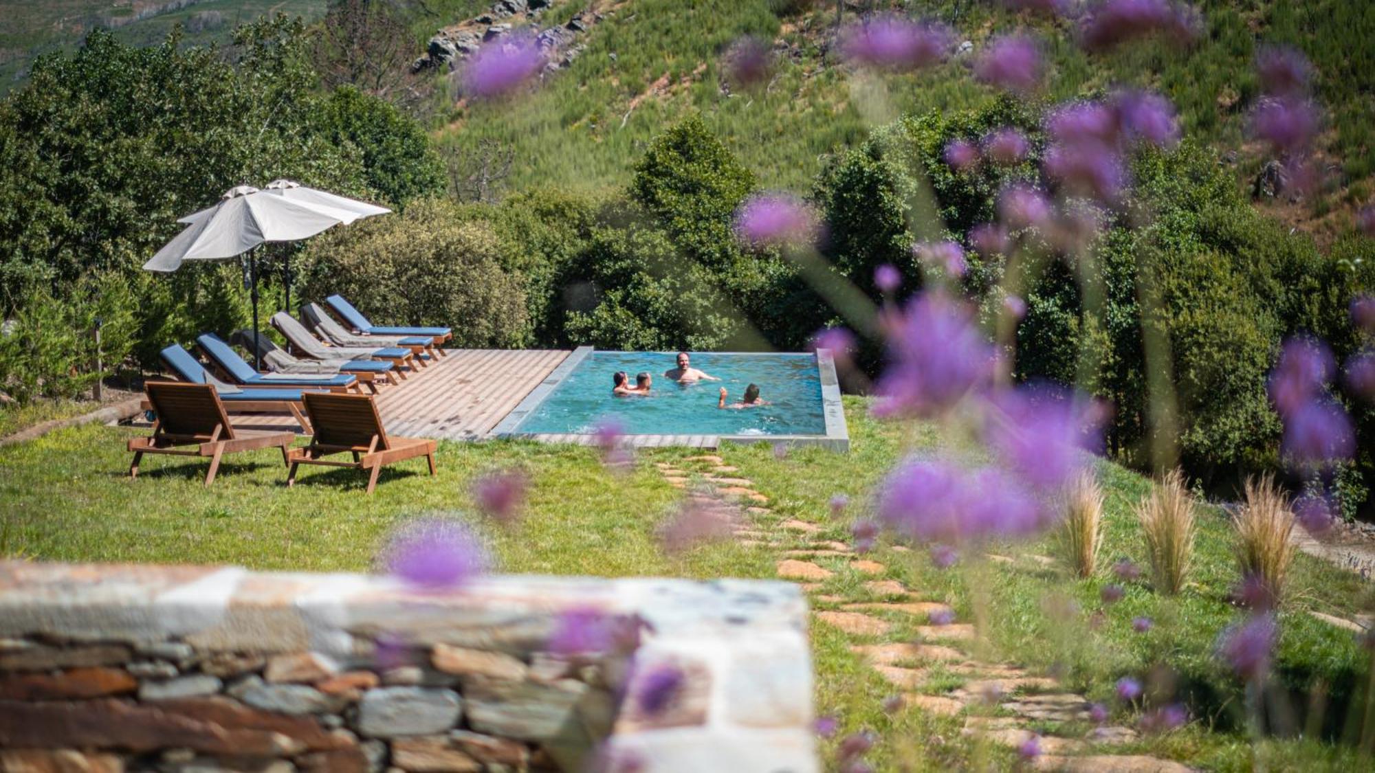 Terrasense Mountain Charm Retreat & Farm Apartment Videmonte Екстериор снимка